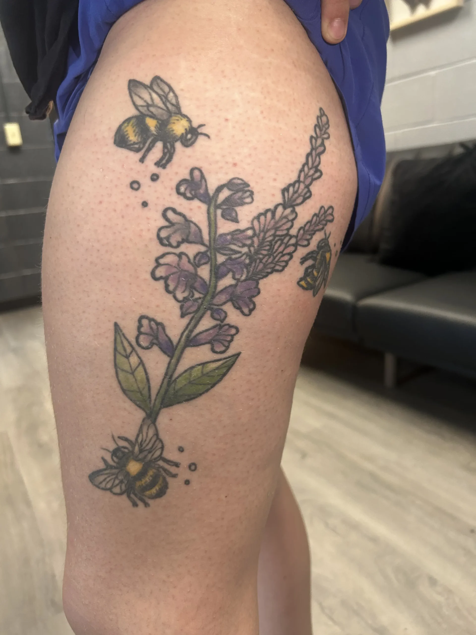 Sage_6162